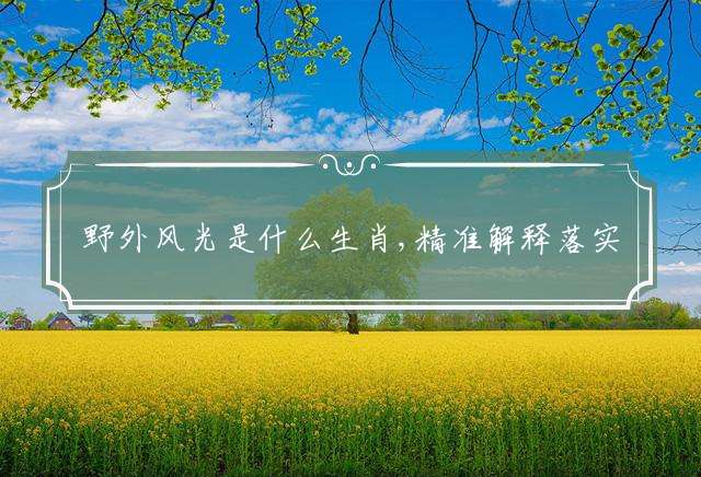 野外风光是什么生肖,精准解释落实