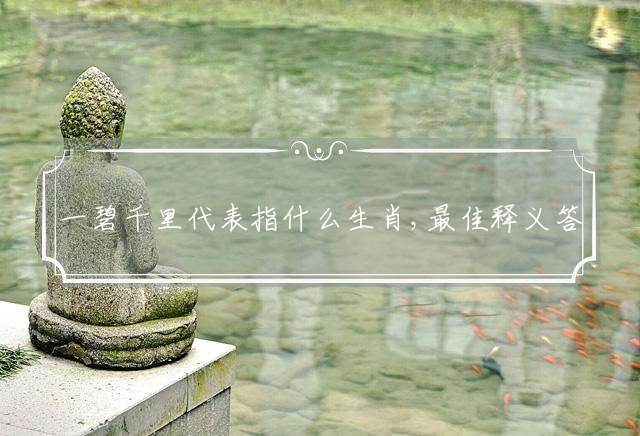 一碧千里代表指什么生肖,最佳释义答案落实