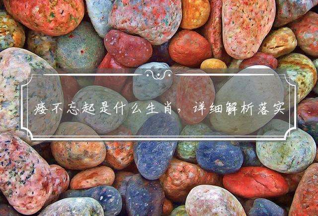 痿不忘起是什么生肖，详细解析落实