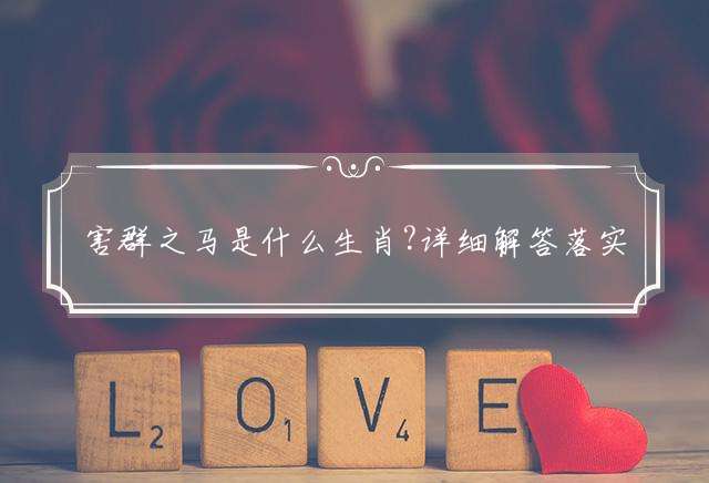 害群之马是什么生肖?详细解答落实