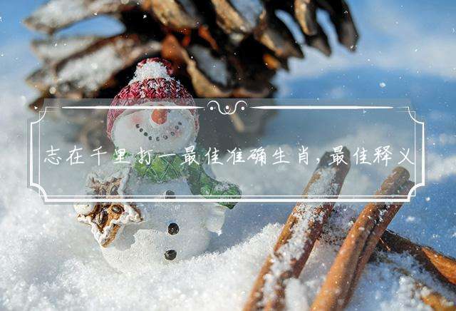 志在千里打一最佳准确生肖,最佳释义答案解释落实