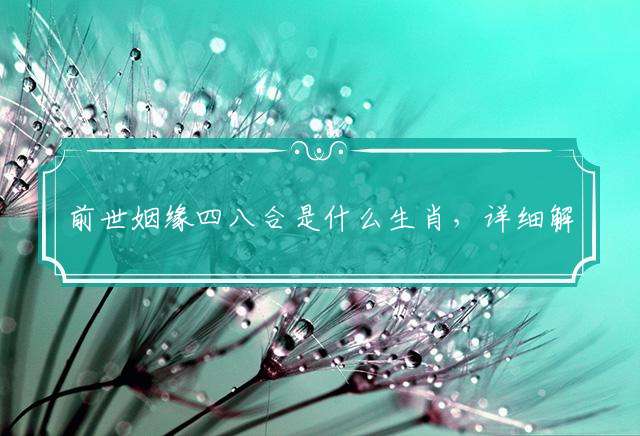 前世姻缘四八合是什么生肖，详细解释落实