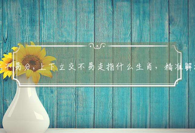 东南西北不易分,上下立交不易走指什么生肖，精准解析落实释义(图文)