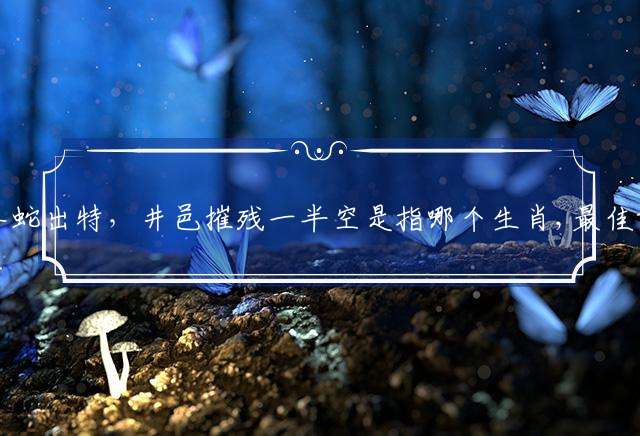 今期猴羊蛇出特，井邑摧残一半空是指哪个生肖,最佳词语解释释义